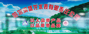 盛龙水表公司荣获“专精特新中小企业”称号，创新发展再添新动能